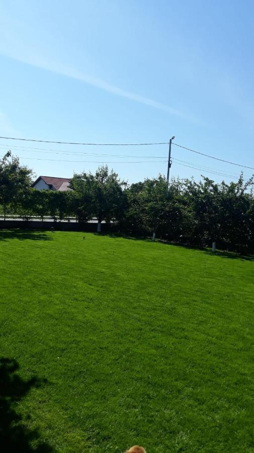 Vila Alexa Costinesti Buitenkant foto