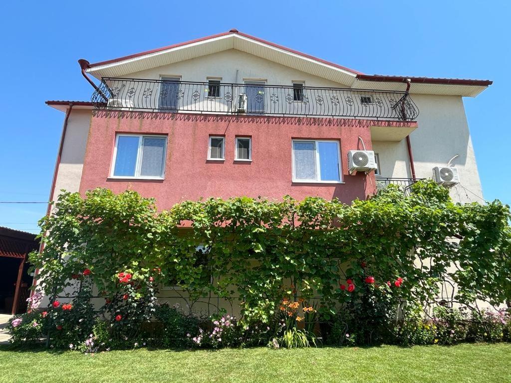 Vila Alexa Costinesti Buitenkant foto