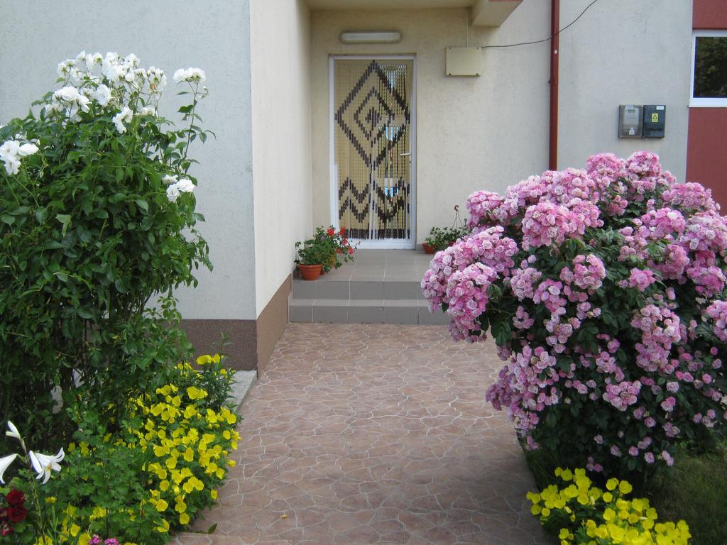 Vila Alexa Costinesti Buitenkant foto